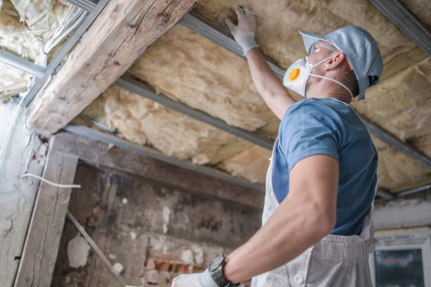 Reliable Bloomingdale, TN Insulation Contractor Solutions