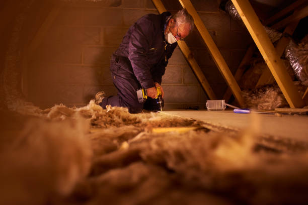 Best DIY Insulation Kits and Guidance in Bloomingdale, TN